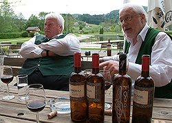 Lavendelfest bei Andrea Sagmeister